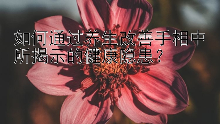 如何通过养生改善手相中所揭示的健康隐患？