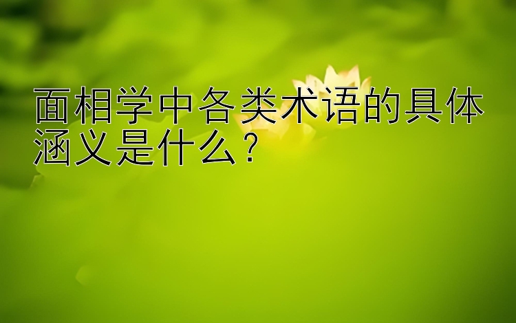 面相学中各类术语的具体涵义是什么？