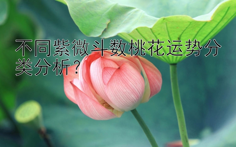 不同紫微斗数桃花运势分类分析？