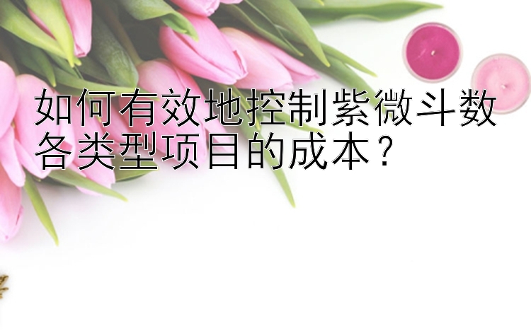 如何有效地控制紫微斗数各类型项目的成本？