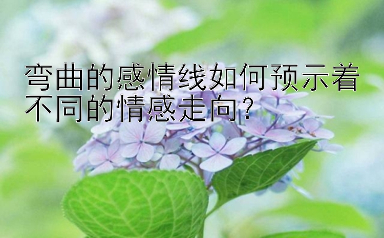 弯曲的感情线如何预示着不同的情感走向？