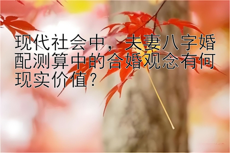 现代社会中，夫妻八字婚配测算中的合婚观念有何现实价值？