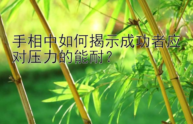 手相中如何揭示成功者应对压力的能耐？