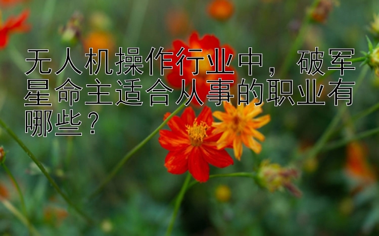 无人机操作行业中，破军星命主适合从事的职业有哪些？