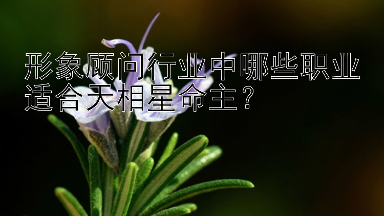 形象顾问行业中哪些职业适合天相星命主？