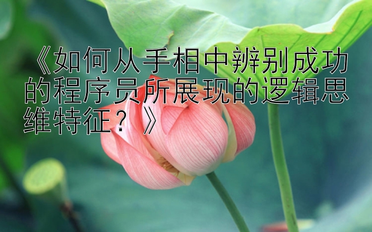 《如何从手相中辨别成功的程序员所展现的逻辑思维特征？》