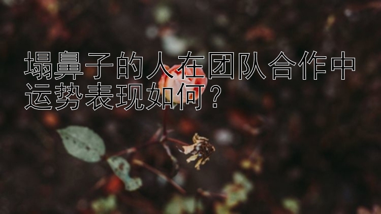 塌鼻子的人在团队合作中运势表现如何？