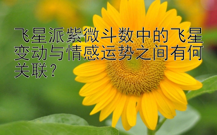 飞星派紫微斗数中的飞星变动与情感运势之间有何关联？