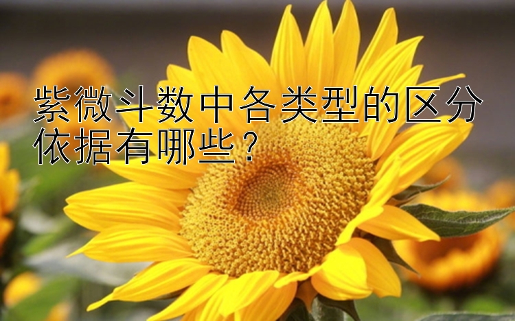 紫微斗数中各类型的区分依据有哪些？