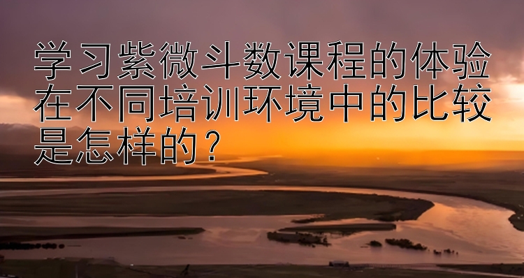 学习紫微斗数课程的体验在不同培训环境中的比较是怎样的？