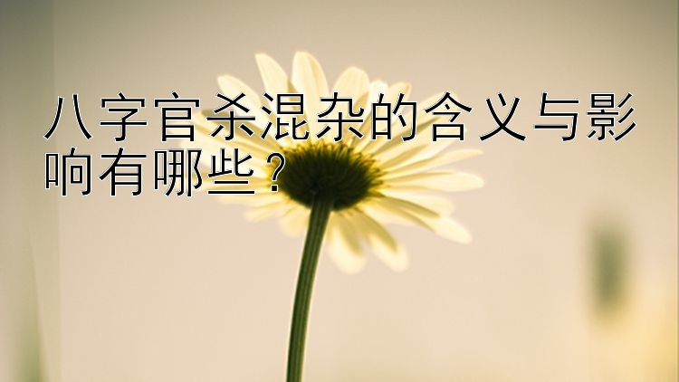 八字官杀混杂的含义与影响有哪些？