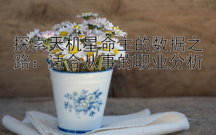 探索天机星命主的数据之路：适合从事的职业分析