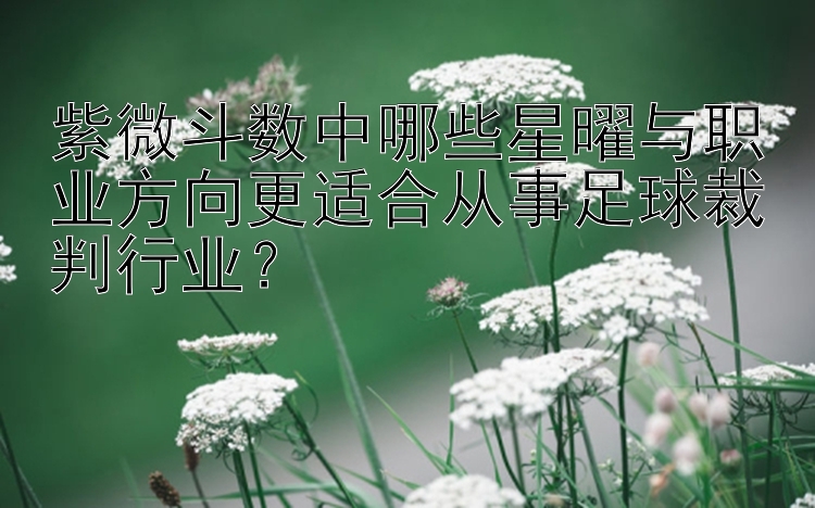 神圣计划-鼎盛彩票网 紫微斗数中哪些星曜与职业方向更适合从事足球裁判行业？