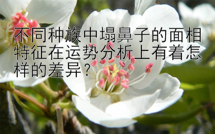 不同种族中塌鼻子的面相特征在运势分析上有着怎样的差异？