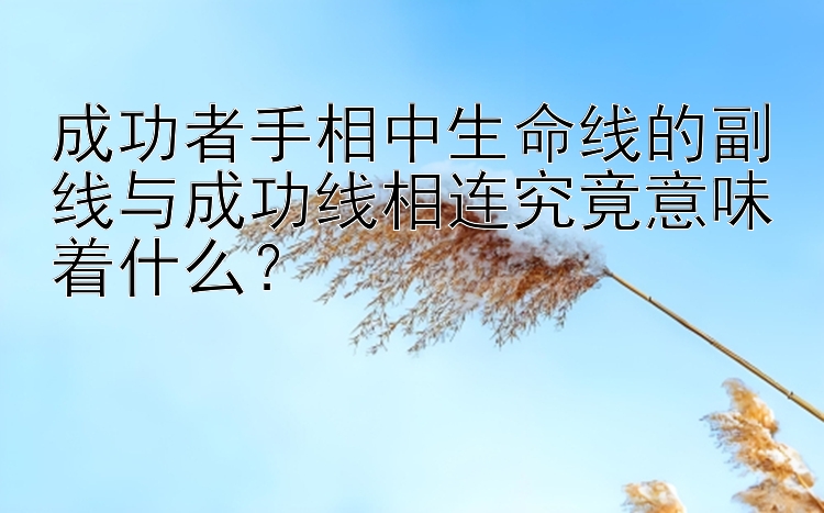 成功者手相中生命线的副线与成功线相连究竟意味着什么？