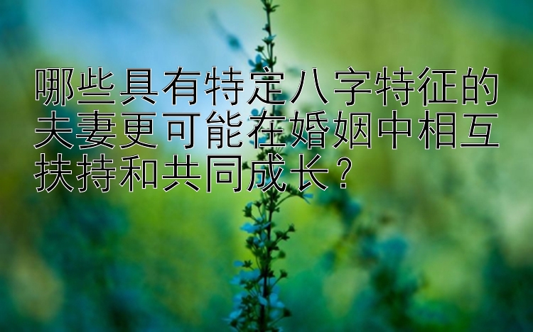 哪些具有特定八字特征的夫妻更可能在婚姻中相互扶持和共同成长？