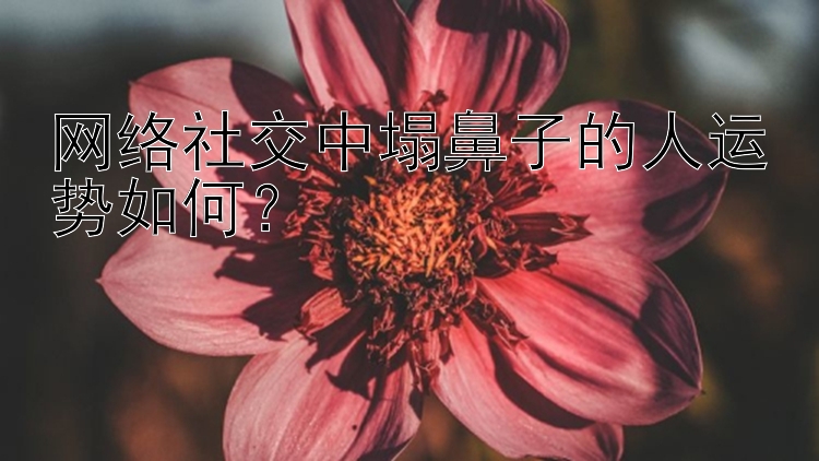 网络社交中塌鼻子的人运势如何？