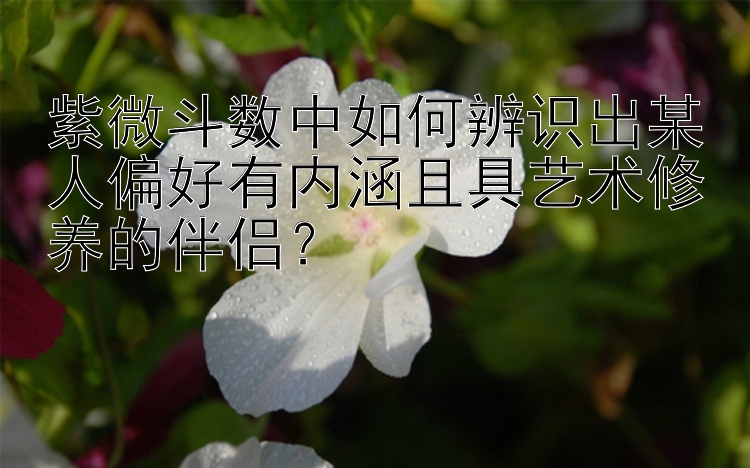 紫微斗数中如何辨识出某人偏好有内涵且具艺术修养的伴侣？