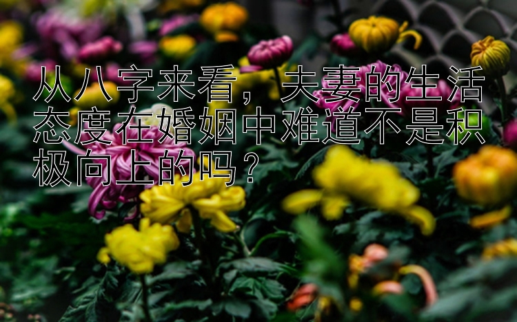 从八字来看，夫妻的生活态度在婚姻中难道不是积极向上的吗？