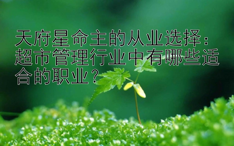 天府星命主的从业选择：超市管理行业中有哪些适合的职业？