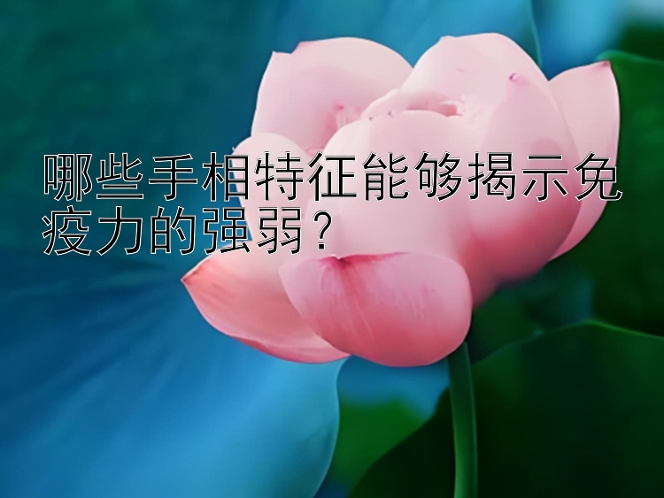 哪些手相特征能够揭示免疫力的强弱？