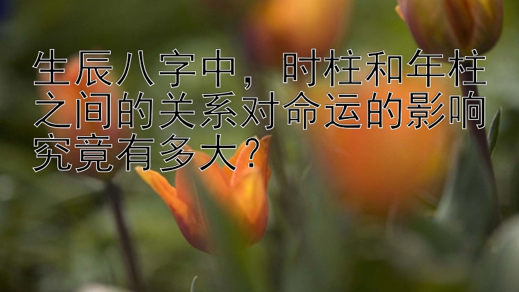 生辰八字中，时柱和年柱之间的关系对命运的影响究竟有多大？