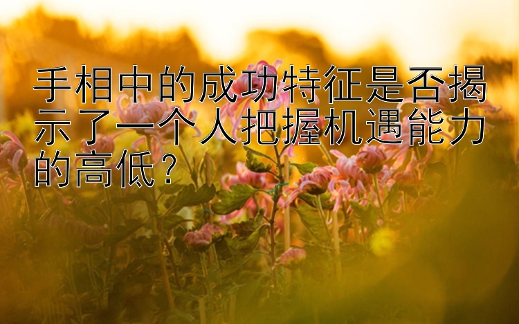 手相中的成功特征是否揭示了一个人把握机遇能力的高低？