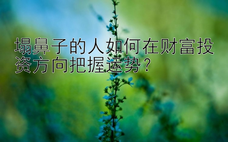 塌鼻子的人如何在财富投资方向把握运势？