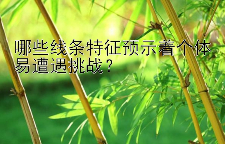 哪些线条特征预示着个体易遭遇挑战？