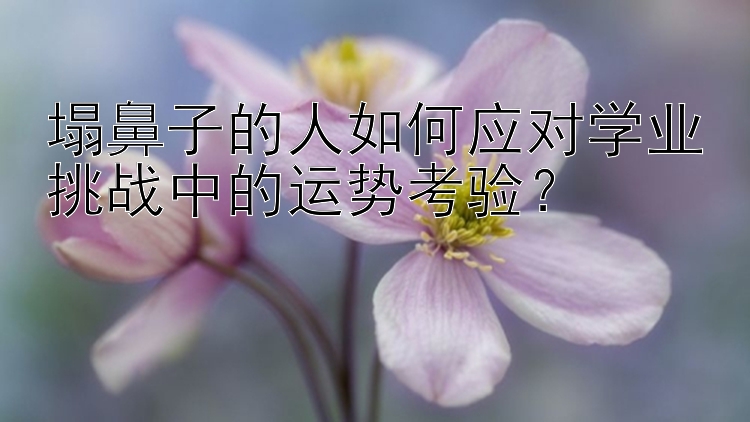 塌鼻子的人如何应对学业挑战中的运势考验？