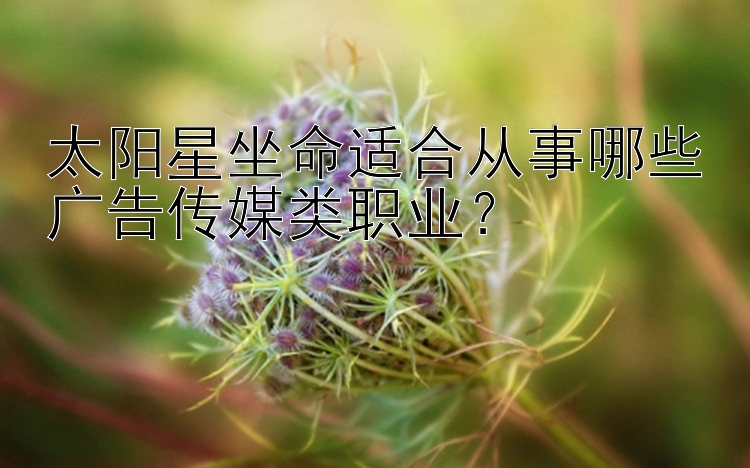 太阳星坐命适合从事哪些广告传媒类职业？