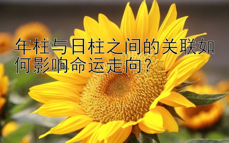 年柱与日柱之间的关联如何影响命运走向？