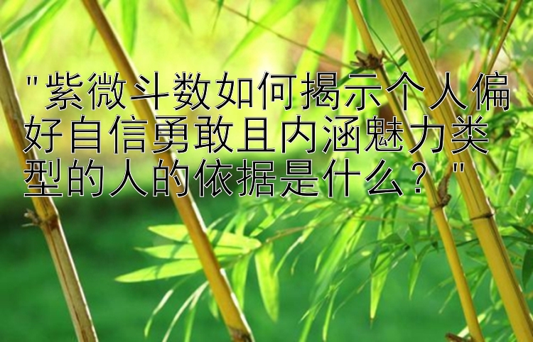 紫微斗数如何揭示个人偏好自信勇敢且内涵魅力类型的人的依据是什么？