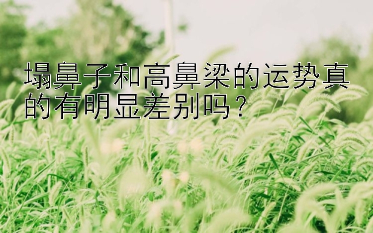 塌鼻子和高鼻梁的运势真的有明显差别吗？