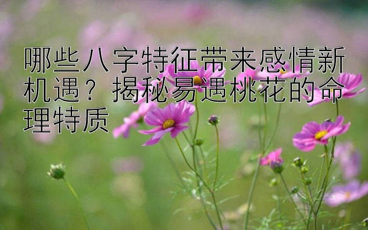 哪些八字特征带来感情新机遇？揭秘易遇桃花的命理特质