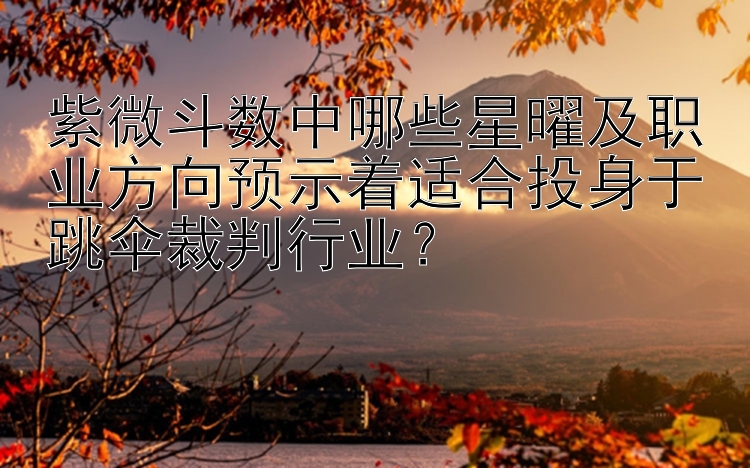 紫微斗数中哪些星曜及职业方向预示着适合投身于跳伞裁判行业？