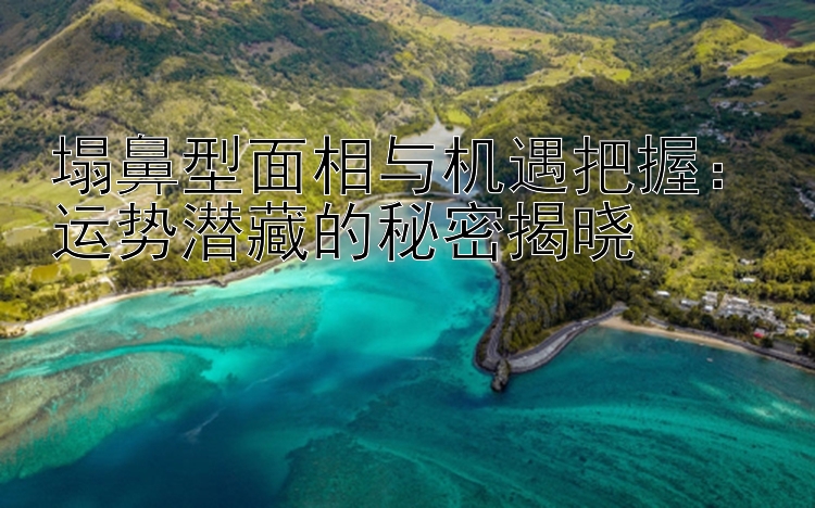 塌鼻型面相与机遇把握：运势潜藏的秘密揭晓