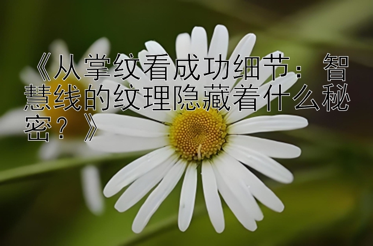 从掌纹看成功细节：智慧线的纹理隐藏着什么秘密？