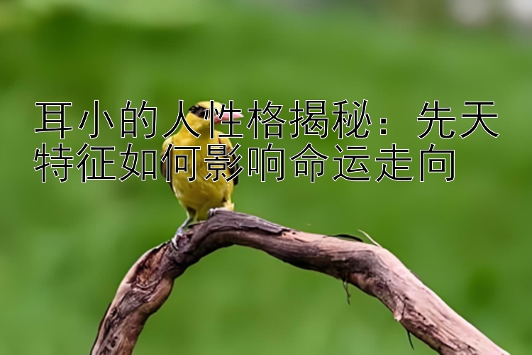 耳小的人性格揭秘：先天特征如何影响命运走向