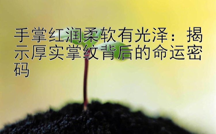 手掌红润柔软有光泽：揭示厚实掌纹背后的命运密码