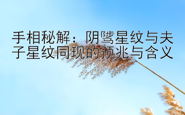 手相秘解：阴骘星纹与夫子星纹同现的预兆与含义