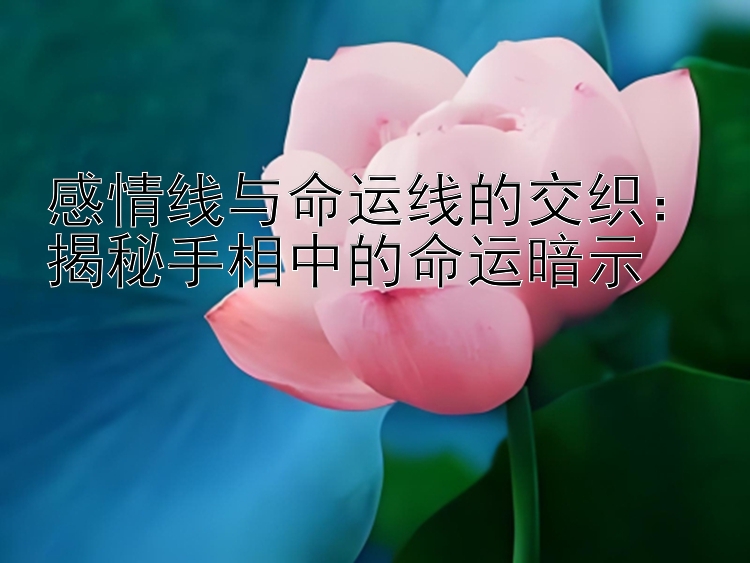 感情线与命运线的交织：揭秘手相中的命运暗示