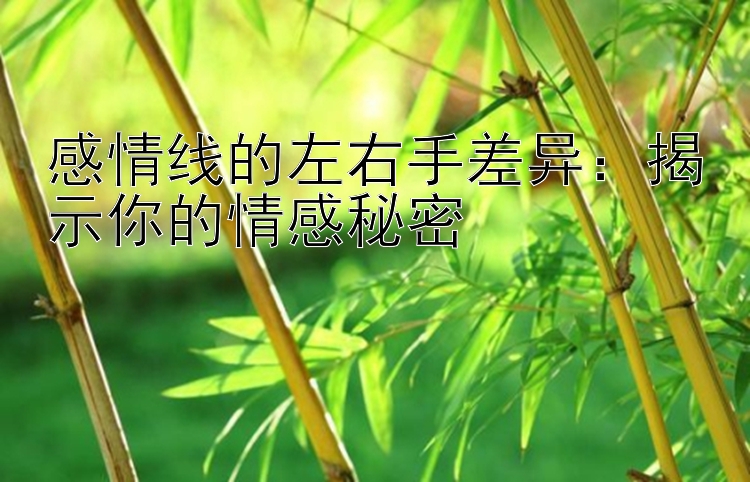 感情线的左右手差异：揭示你的情感秘密