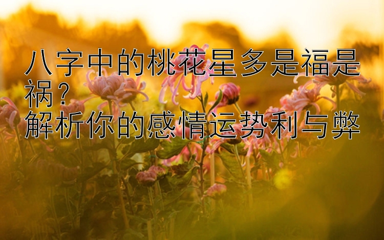 八字中的桃花星多是福是祸？  
解析你的感情运势利与弊