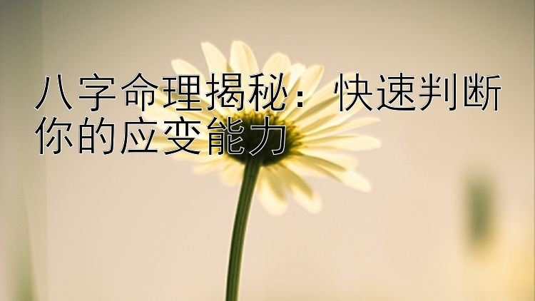 八字命理揭秘：快速判断你的应变能力