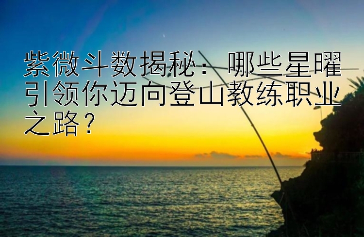 紫微斗数揭秘：哪些星曜引领你迈向登山教练职业之路？